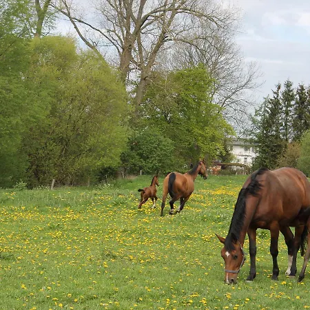 Tranquil In Alt Bukow Hébergement de vacances Bantow (Rostock)
