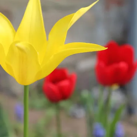 Hébergement de vacances Tranquil In Alt Bukow Bantow (Rostock)