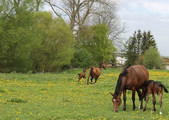Tranquil In Alt Bukow Сasa de vacaciones Bantow (Rostock)
