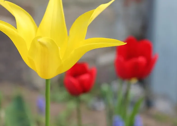 Сasa de vacaciones Tranquil In Alt Bukow Bantow (Rostock)